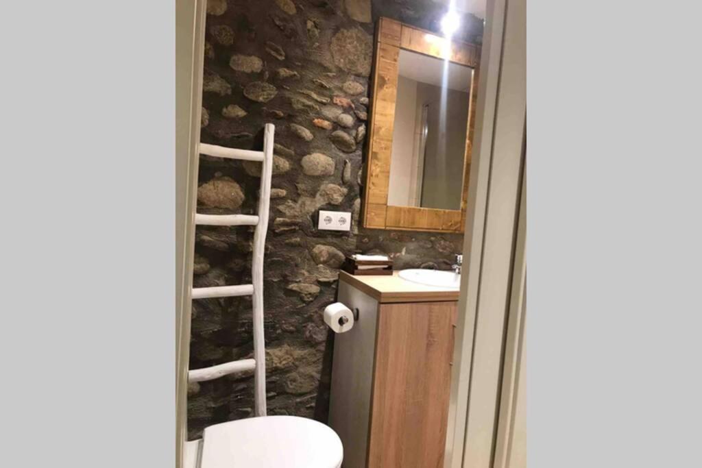 Puigcerda Centro. Acogedor Apartament En El Pueblo Eksteriør billede