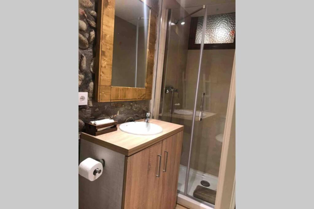 Puigcerda Centro. Acogedor Apartament En El Pueblo Eksteriør billede